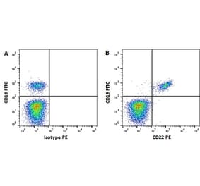 Flow Cytometry - Anti-CD22 Antibody [MEM-01] (PE) (A281092) - Antibodies.com