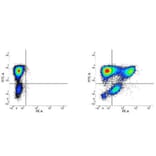 Flow Cytometry - Anti-CD177 Antibody [MEM-166] (PE) (A281108) - Antibodies.com