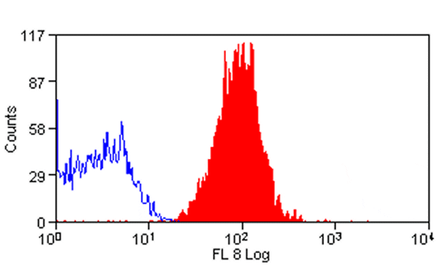 Flow Cytometry - Anti-CD97 Antibody [MEM-180] (APC) (A281115) - Antibodies.com