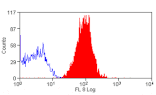 Flow Cytometry - Anti-CD97 Antibody [MEM-180] (APC) (A281115) - Antibodies.com