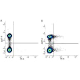 Flow Cytometry - Anti-IL-2 Receptor alpha Antibody [MEM-181] (PE) (A281120) - Antibodies.com