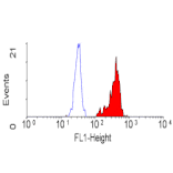 Flow Cytometry - Anti-M6PR (cation independent) Antibody [MEM-238] (FITC) (A281128) - Antibodies.com
