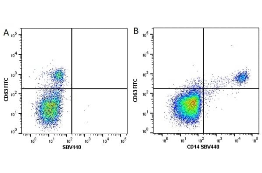 Flow Cytometry - Anti-CD63 Antibody [MEM-259] (FITC) (A281143) - Antibodies.com