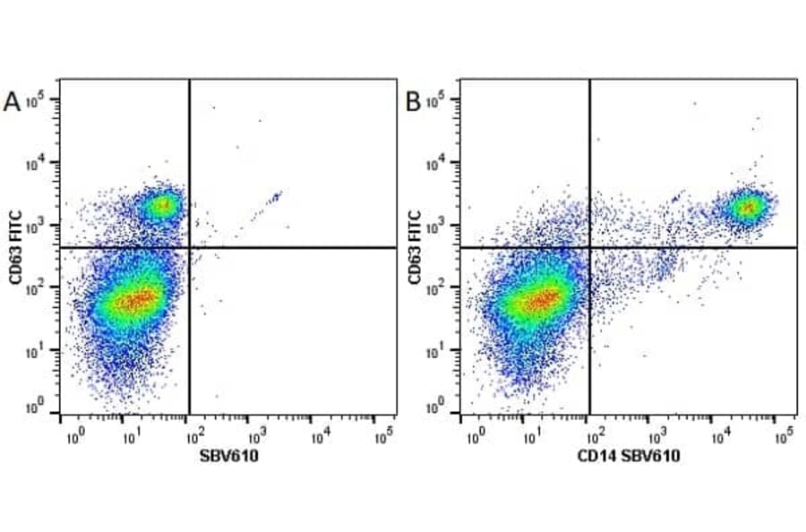 Flow Cytometry - Anti-CD63 Antibody [MEM-259] (FITC) (A281143) - Antibodies.com