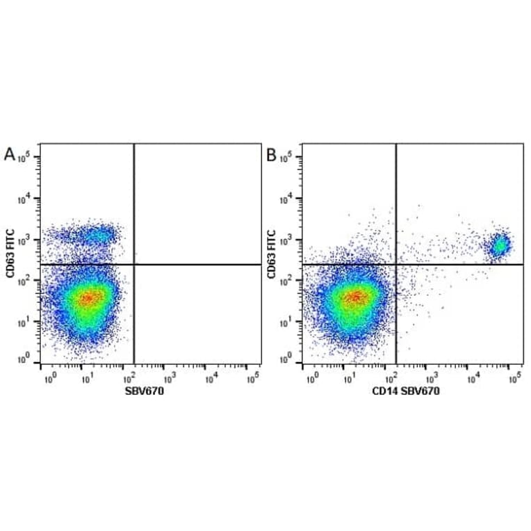 Flow Cytometry - Anti-CD63 Antibody [MEM-259] (FITC) (A281143) - Antibodies.com