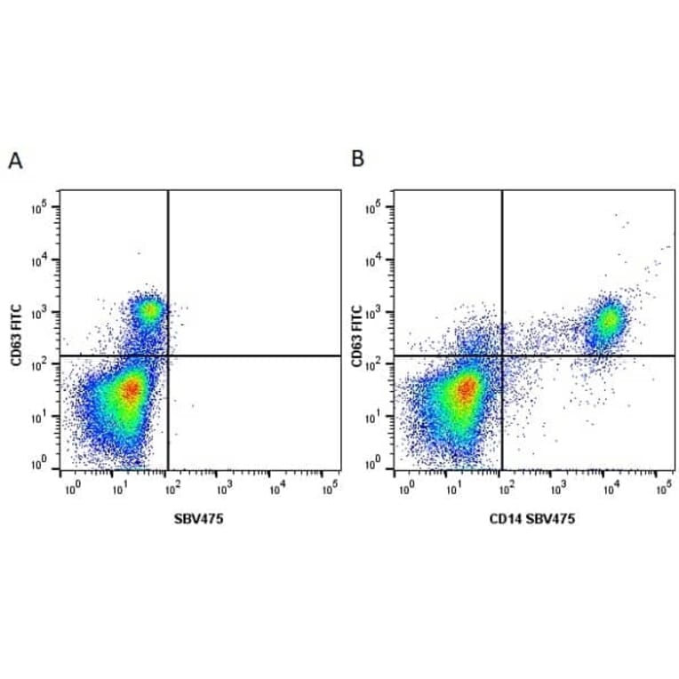 Flow Cytometry - Anti-CD63 Antibody [MEM-259] (FITC) (A281143) - Antibodies.com