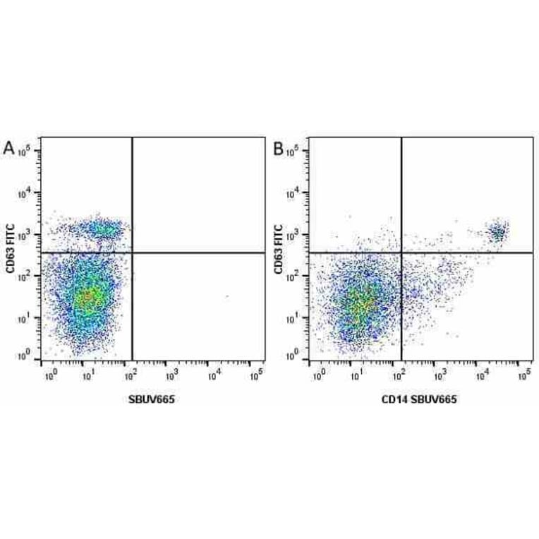 Flow Cytometry - Anti-CD63 Antibody [MEM-259] (FITC) (A281143) - Antibodies.com