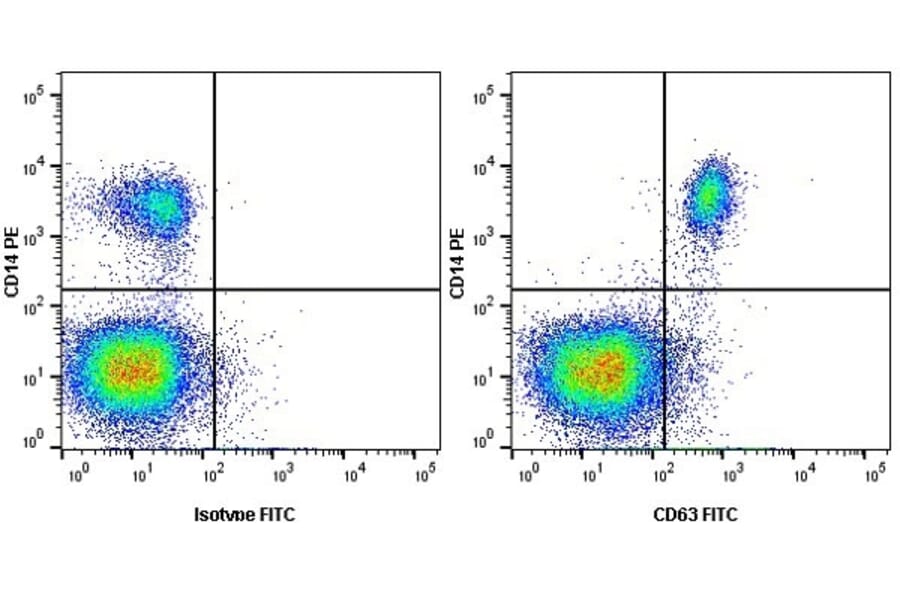 Flow Cytometry - Anti-CD63 Antibody [MEM-259] (FITC) (A281143) - Antibodies.com