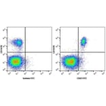 Flow Cytometry - Anti-CD63 Antibody [MEM-259] (FITC) (A281143) - Antibodies.com