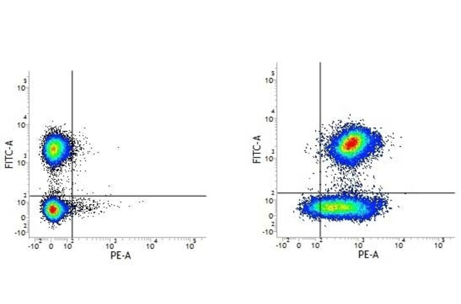 Flow Cytometry - Anti-CD59 Antibody [MEM-43] (PE) (A281150) - Antibodies.com