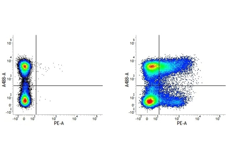 Flow Cytometry - Anti-CD36 Antibody [MF3] (PE) (A281185) - Antibodies.com