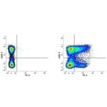 Flow Cytometry - Anti-CD36 Antibody [MF3] (PE) (A281185) - Antibodies.com