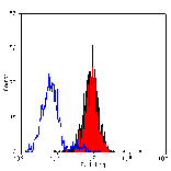 Flow Cytometry - Anti-ICAM2 Antibody [mIC2/4 (3C4)] - BSA and Azide free (A281193) - Antibodies.com