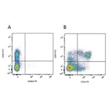 Flow Cytometry - Anti-CD8 alpha Antibody [MIL12] (PE) (A281197) - Antibodies.com