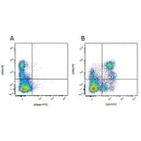 Flow Cytometry - Anti-CD8 alpha Antibody [MIL12] (PE) (A281197) - Antibodies.com