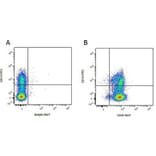 Flow Cytometry - Anti-CD14 Antibody [MIL2] (FITC) (A281206) - Antibodies.com