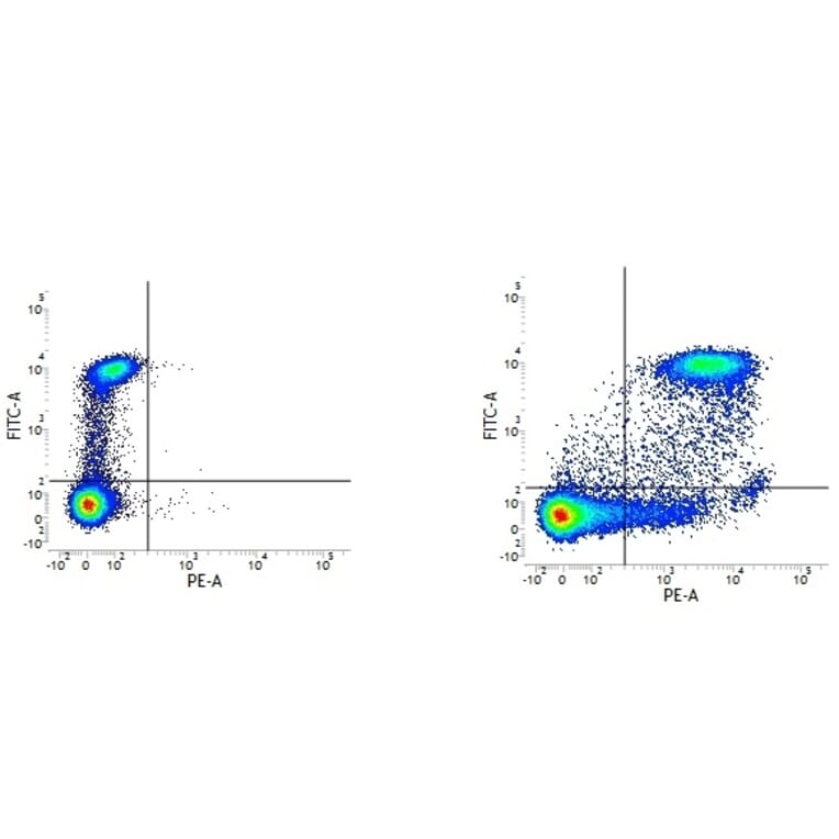 Flow Cytometry - Anti-CD9 Antibody [MM2/57] (PE) (A281233) - Antibodies.com