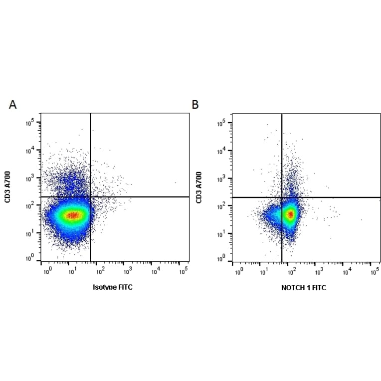 Flow Cytometry - Anti-Notch1 Antibody [mN1A] (FITC) (A281237) - Antibodies.com
