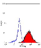 Flow Cytometry - Anti-DC-SIGN Antibody [MR-1] (FITC) (A281265) - Antibodies.com
