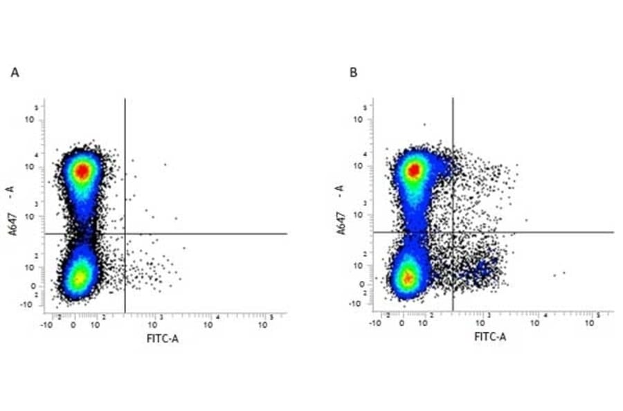 Flow Cytometry - Anti-CD11c Antibody [N418] (FITC) (A281306) - Antibodies.com