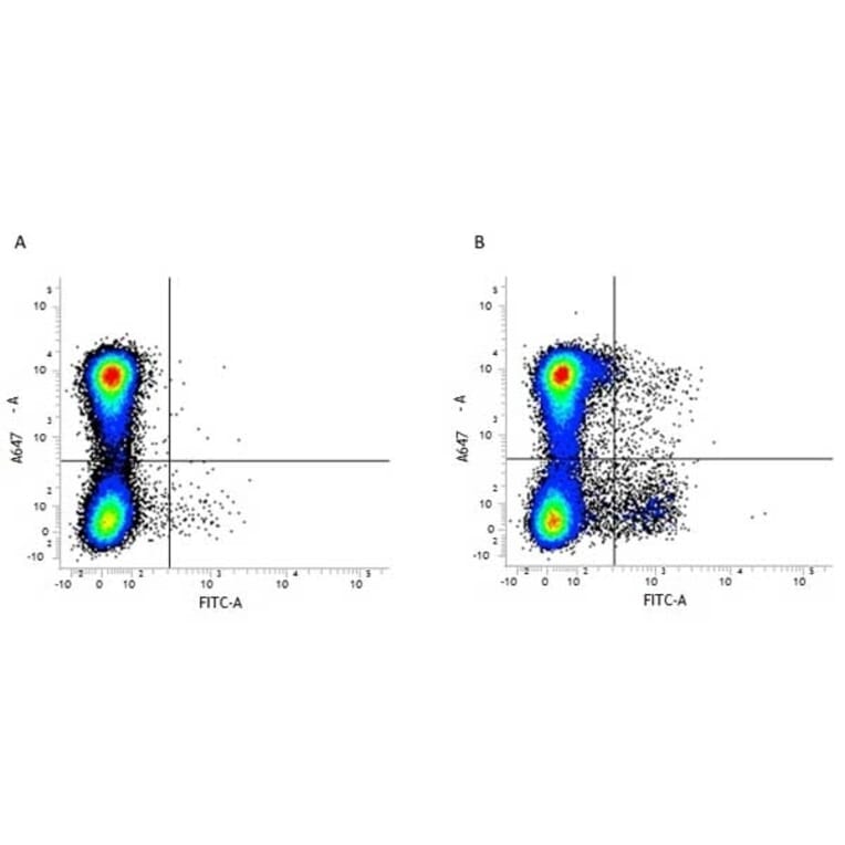 Flow Cytometry - Anti-CD11c Antibody [N418] (FITC) (A281306) - Antibodies.com