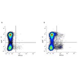 Flow Cytometry - Anti-CD11c Antibody [N418] (FITC) (A281306) - Antibodies.com