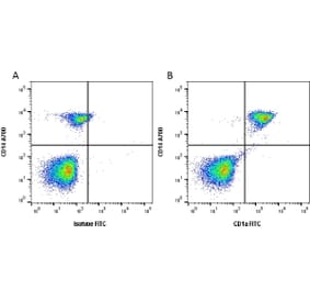 Flow Cytometry - Anti-CD1a Antibody [NA1/34-HLK] (FITC) (A281311) - Antibodies.com