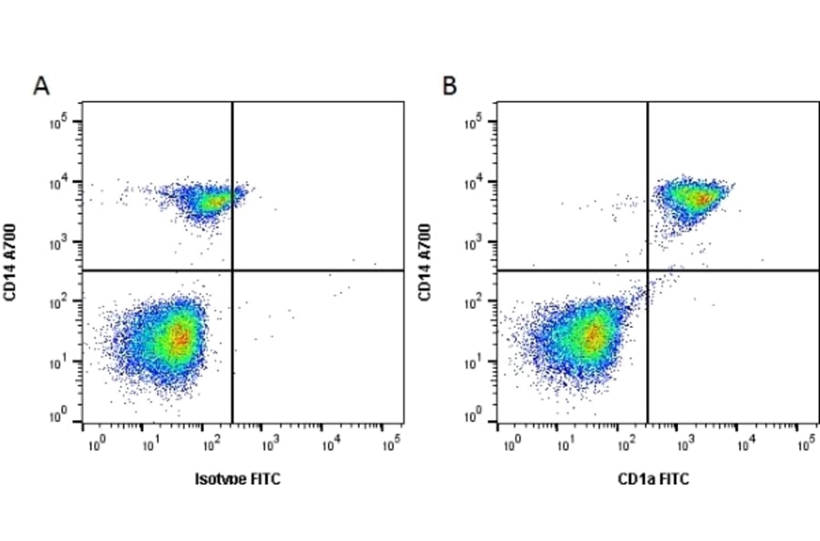Flow Cytometry - Anti-CD1a Antibody [NA1/34-HLK] (FITC) (A281311) - Antibodies.com