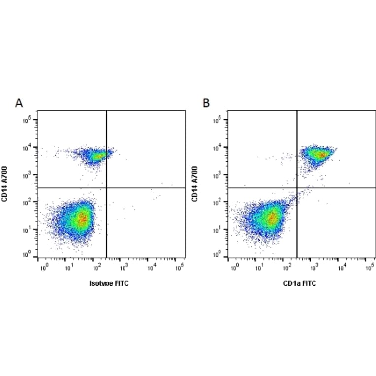 Flow Cytometry - Anti-CD1a Antibody [NA1/34-HLK] (FITC) (A281311) - Antibodies.com