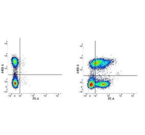 Flow Cytometry - Anti-Integrin alpha 6 Antibody [NKI-GoH3] (PE) (A281324) - Antibodies.com