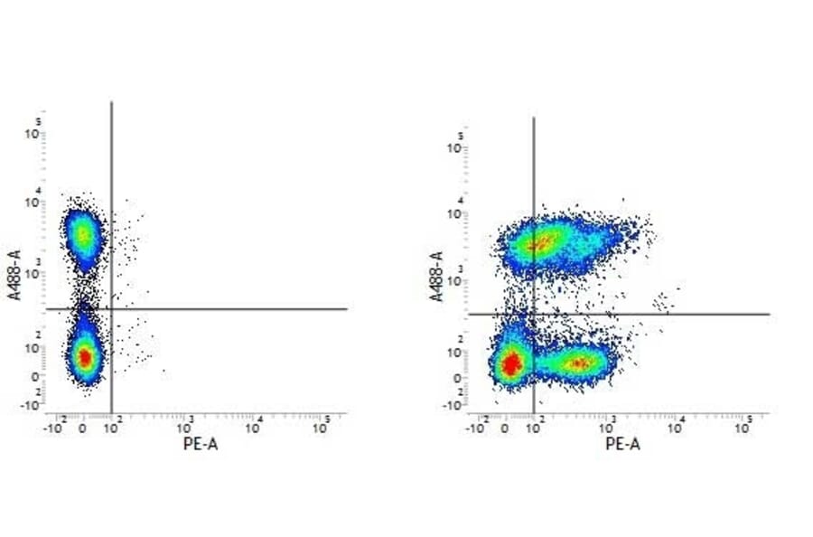Flow Cytometry - Anti-Integrin alpha 6 Antibody [NKI-GoH3] (PE) (A281324) - Antibodies.com