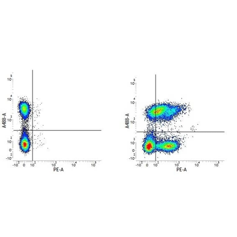Flow Cytometry - Anti-Integrin alpha 6 Antibody [NKI-GoH3] (PE) (A281324) - Antibodies.com