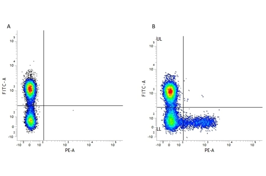 Flow Cytometry - Anti-KIR Antibody [NKVFS1] (PE) (A281332) - Antibodies.com