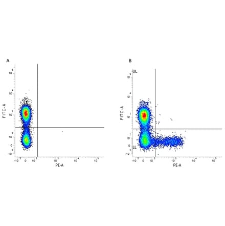 Flow Cytometry - Anti-KIR Antibody [NKVFS1] (PE) (A281332) - Antibodies.com