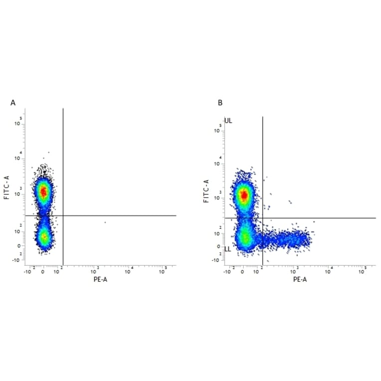 Flow Cytometry - Anti-KIR Antibody [NKVFS1] (PE) (A281332) - Antibodies.com