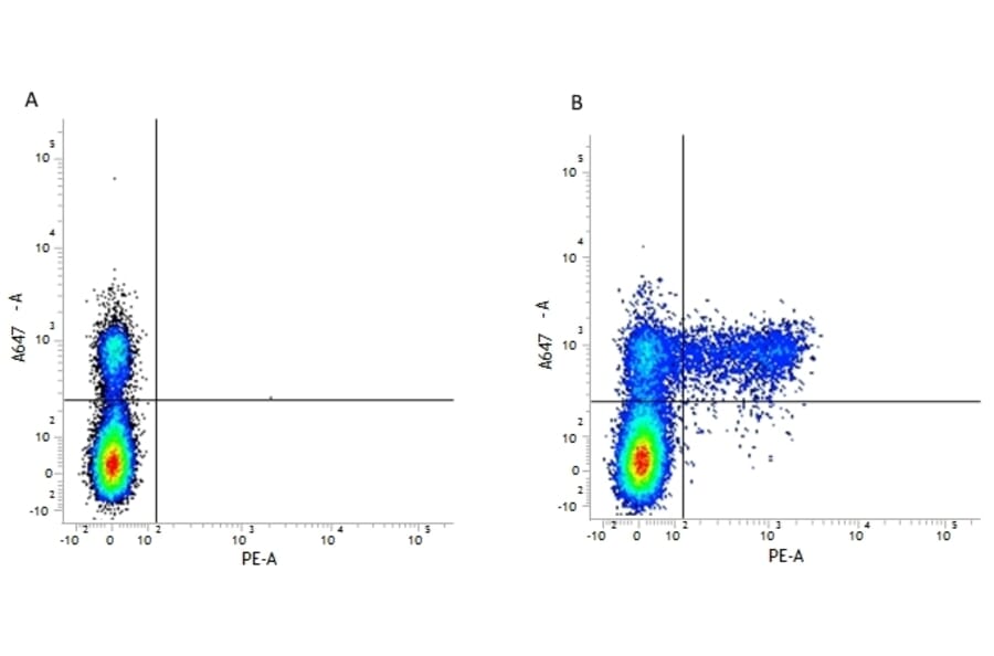 Flow Cytometry - Anti-KIR Antibody [NKVFS1] (PE) (A281332) - Antibodies.com