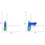 Flow Cytometry - Anti-KIR Antibody [NKVFS1] (PE) (A281332) - Antibodies.com