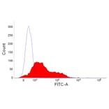 Flow Cytometry - Anti-Rabbit IgM Antibody [NRBM] (FITC) (A281350) - Antibodies.com