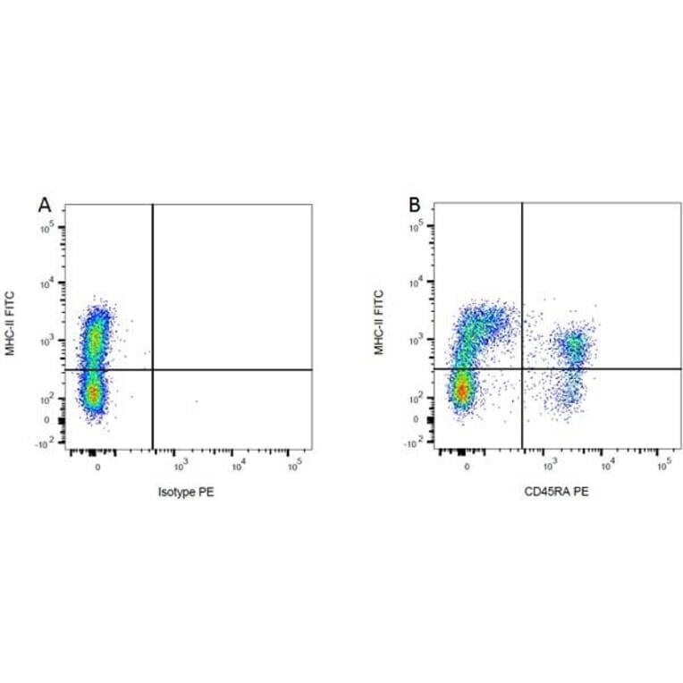 Flow Cytometry - Anti-CD45RA Antibody [OX-33] (PE) (A281438) - Antibodies.com