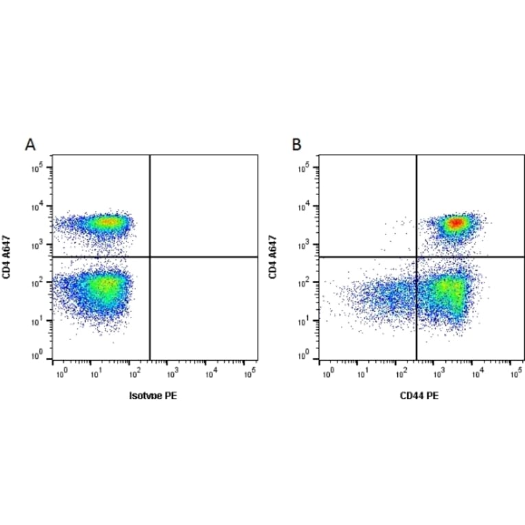 Flow Cytometry - Anti-CD44 Antibody [OX-50] (PE) (A281470) - Antibodies.com
