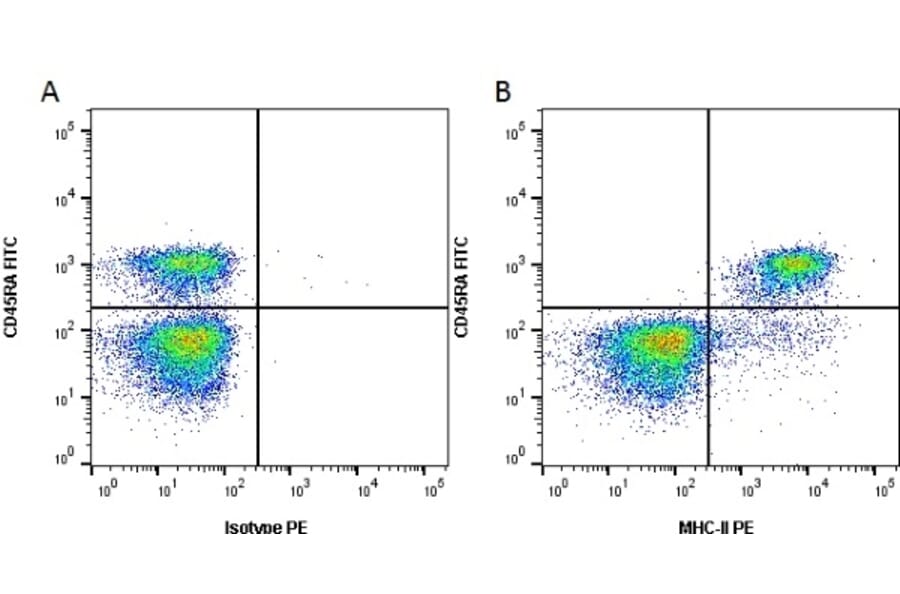 Flow Cytometry - Anti-MHC Class II RT1B Antibody [OX-6] (PE) (A281477) - Antibodies.com