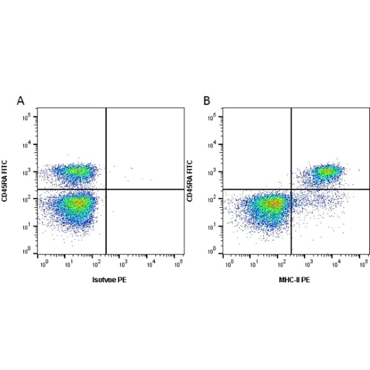 Flow Cytometry - Anti-MHC Class II RT1B Antibody [OX-6] (PE) (A281477) - Antibodies.com