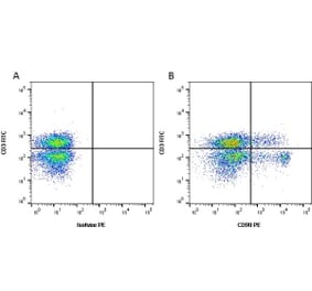 Flow Cytometry - Anti-CD90 / Thy1 Antibody [OX-7] (PE) (A281487) - Antibodies.com