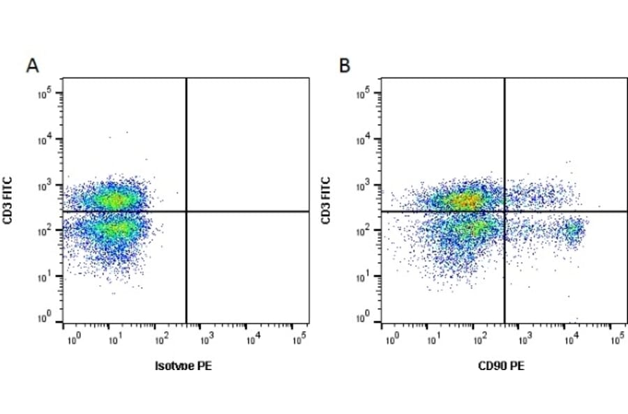 Flow Cytometry - Anti-CD90 / Thy1 Antibody [OX-7] (PE) (A281487) - Antibodies.com