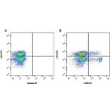 Flow Cytometry - Anti-CD90 / Thy1 Antibody [OX-7] (PE) (A281487) - Antibodies.com