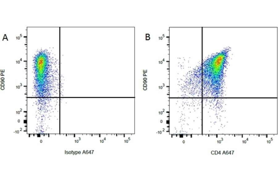 Flow Cytometry - Anti-CD90 / Thy1 Antibody [OX-7] (PE) (A281487) - Antibodies.com