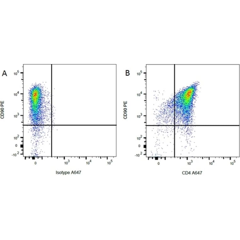 Flow Cytometry - Anti-CD90 / Thy1 Antibody [OX-7] (PE) (A281487) - Antibodies.com