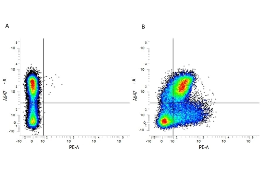 Flow Cytometry - Anti-CD200 / OX2 Antibody [OX-90] (PE) (A281515) - Antibodies.com