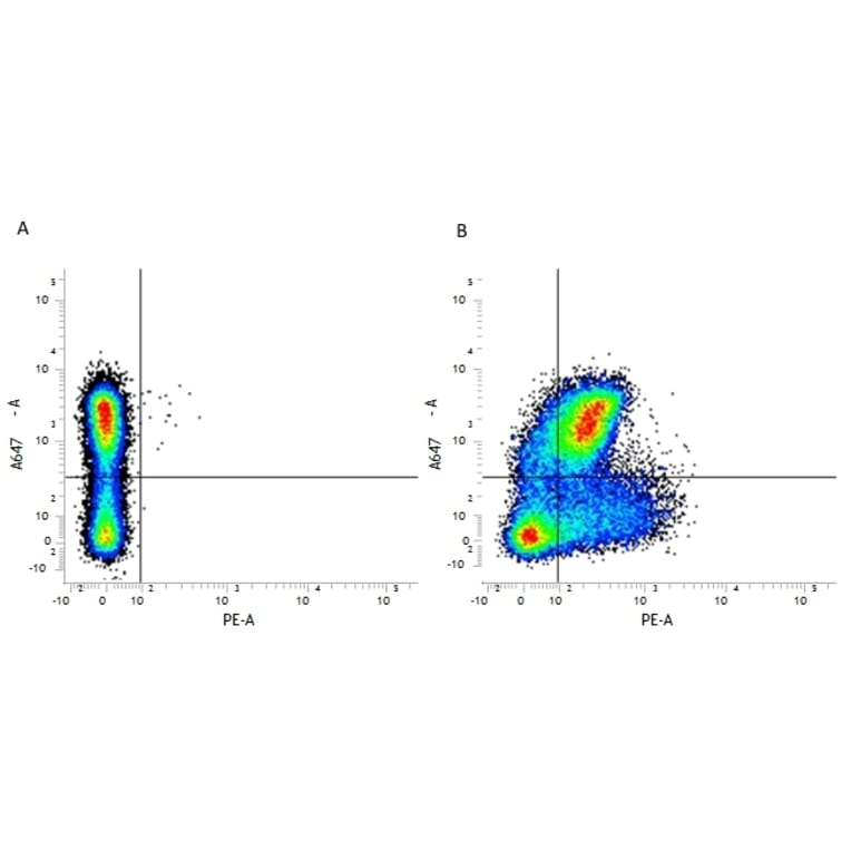 Flow Cytometry - Anti-CD200 / OX2 Antibody [OX-90] (PE) (A281515) - Antibodies.com