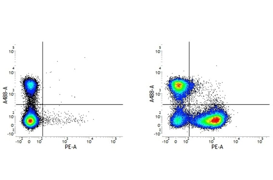 Flow Cytometry - Anti-CD22 Antibody [OX-97] (PE) (A281521) - Antibodies.com